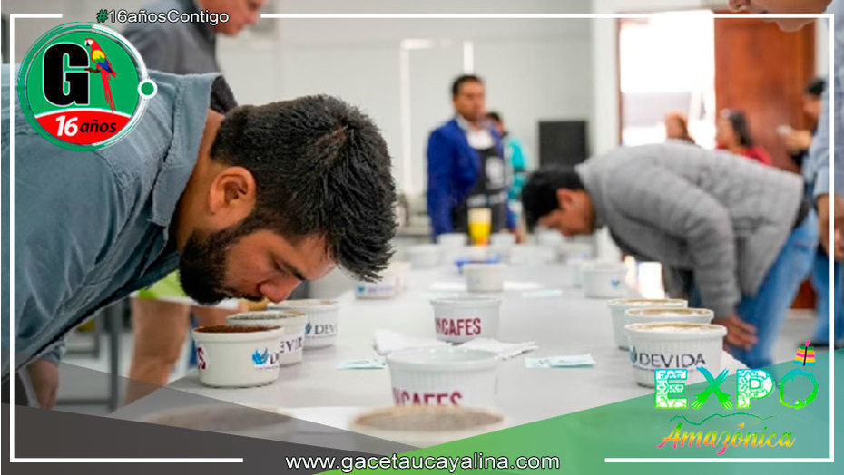 Subastarán cafés especiales del Alto Huallaga en Expo Amazónica 2023