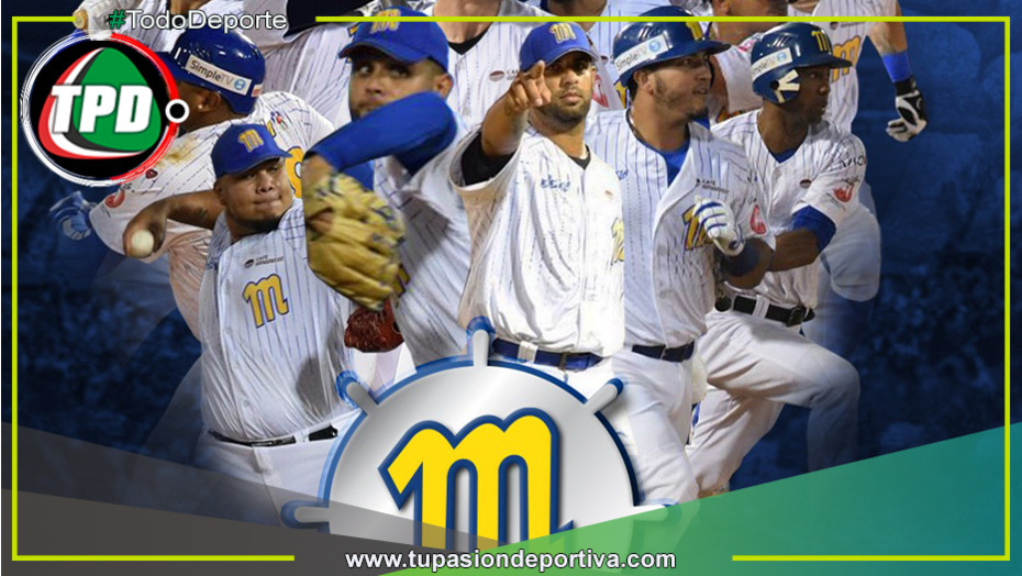 Magallanes y Cardenales, dos grandes del Béisbol Venezolano llegan al Perú