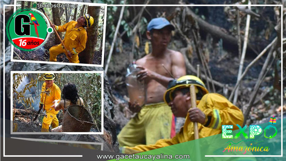Éxito en la Lucha Contra el Incendio Forestal en Comunidad Nativa de Tahuania