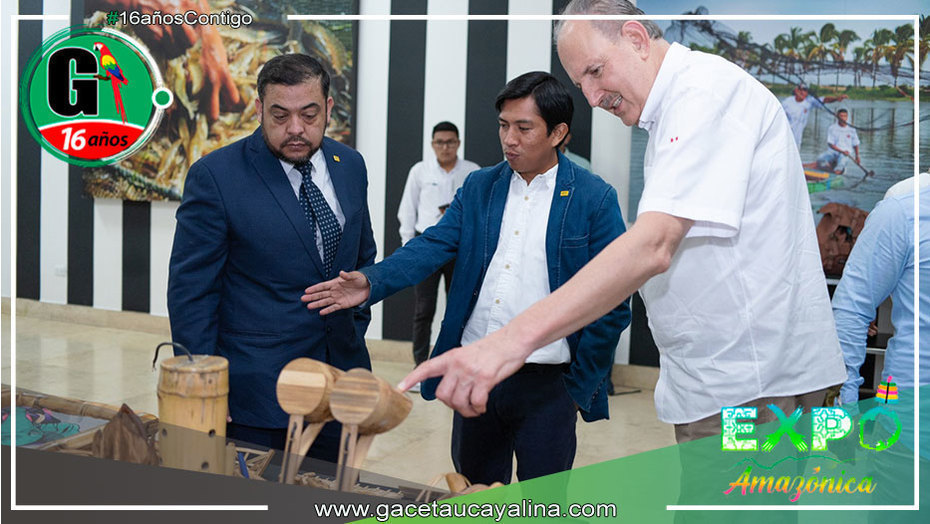 Inician proyecto de bambú para potenciar su producción en Piura, Cajamarca y Amazonas