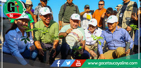 Gambini y ministra Ruiz participaron de la plantación de 1 300 árboles de shihuahuaco en Pucallpa