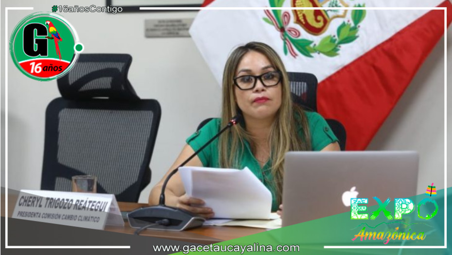 Cheryl Trigozo afirma que no hay nada incorrecto en cantar de vez en cuando