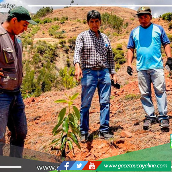 Declaran en emergencia a 544 distritos por peligro inminente ante déficit hídrico