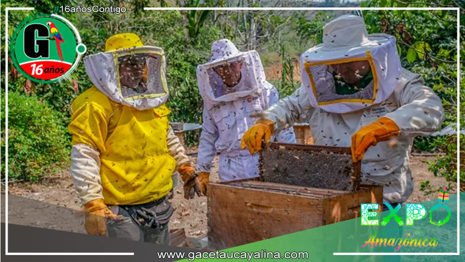 Huánuco: Apicultores producirán 8 toneladas de miel este año