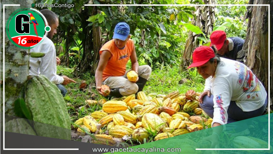 ADEX: Disminución en la exportación de productos en cinco regiones de la selva