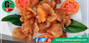 Iquitos: IIAP produce hongos amazónicos con alto contenido proteínico 