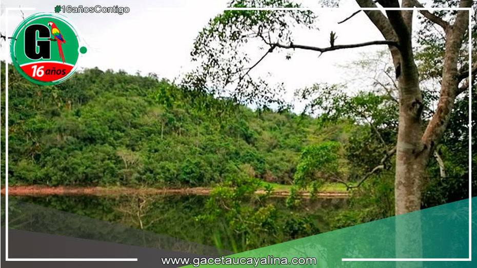 Tarapoto: Realizarán primer encuentro latinoamericano