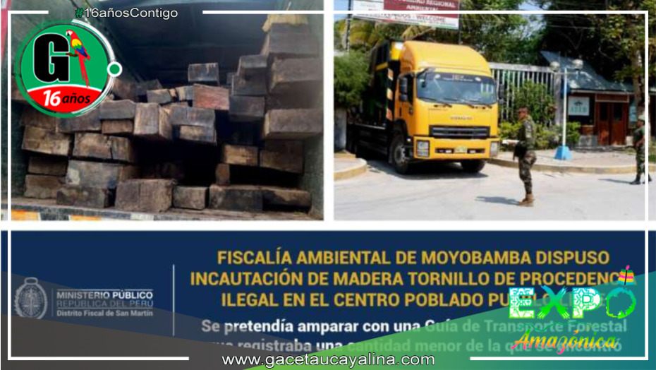 FEMA de Moyobamba toma medidas drásticas: Confisca 2750 pies tablares de madera tornillo de origen ilícito