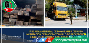 FEMA de Moyobamba toma medidas drásticas: Confisca 2750 pies tablares de madera tornillo de origen ilícito
