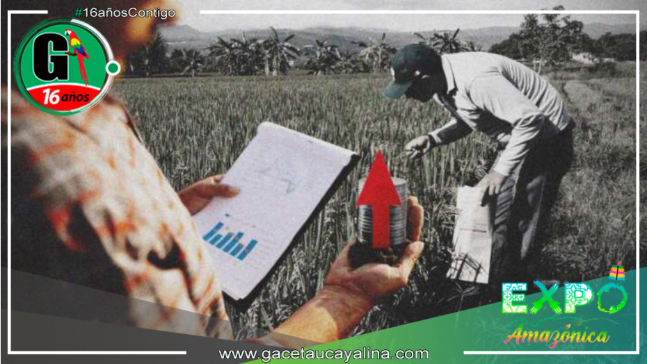 San Martín experimenta un impresionante aumento del 1.8% en su producción en el segundo trimestre del 2023