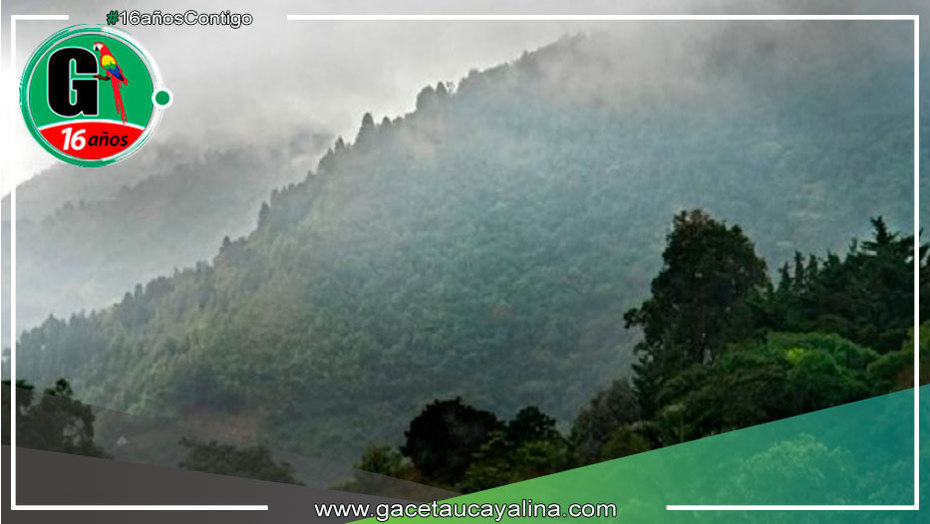 Décimo tercer friaje del año impactará la Selva peruana con descenso de temperatura y lluvias