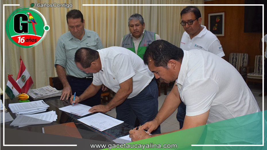 Instalaran más de 2.500 hectáreas de cacao y café en Atalaya