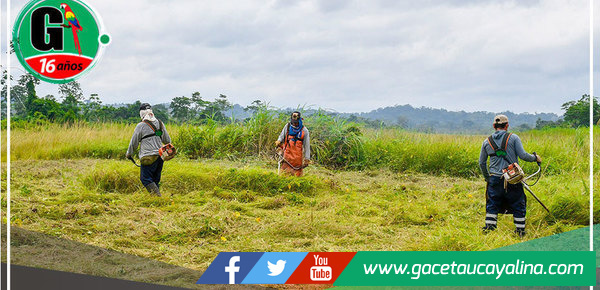 El municipio de Sepahua, bajo la Dirección de John Harold Salcedo Ríos, Embellece y Asegura el Entorno Urbano