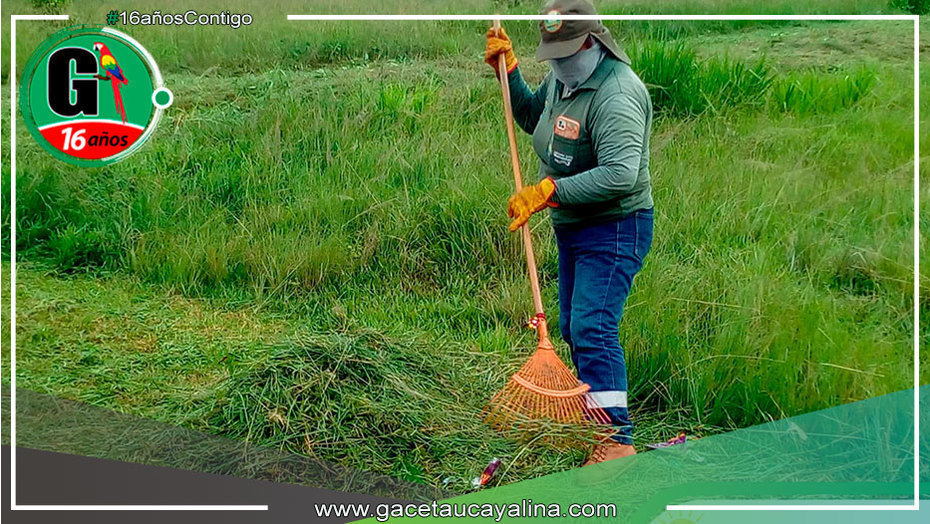 Faenas de Cultivo y Limpieza en Parques: Compromiso de la Subgerencia de Limpieza Pública de Manantay