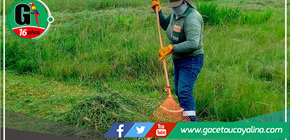 Faenas de Cultivo y Limpieza en Parques: Compromiso de la Subgerencia de Limpieza Pública de Manantay