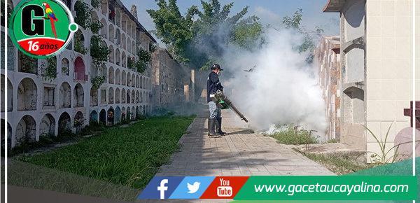Fumigación coordinada de la Municipalidad Provincial y DIRESA para combatir al Aedes aegypti