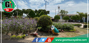 Embellecimiento y mantenimiento de áreas verdes en Yarinacocha