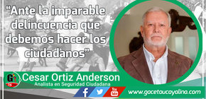 Ante la imparable delincuencia que debemos hacer los ciudadanos