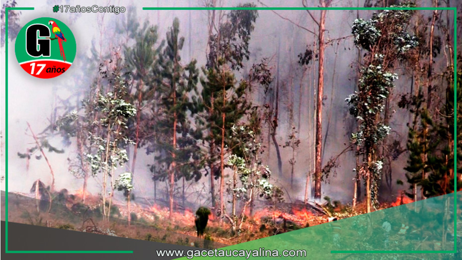 INDECI reporta 20 incendios forestales activos y 29 controlados