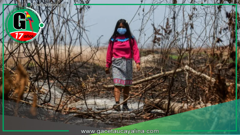Unicef: niños en riesgo por incendios y sequía en la Amazonía peruana