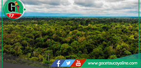 Gobierno y regiones firman acuerdo contra la tala ilegal