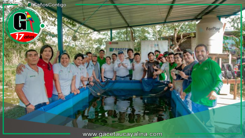 PRODUCE y DEVIDA impulsan la acuicultura sostenible con capacitación en cultivo de tilapia en Huánuco