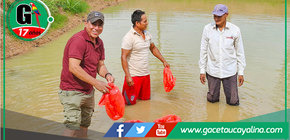 Entregan alevinos, pollos y cerdos a asociaciones de Campo Verde