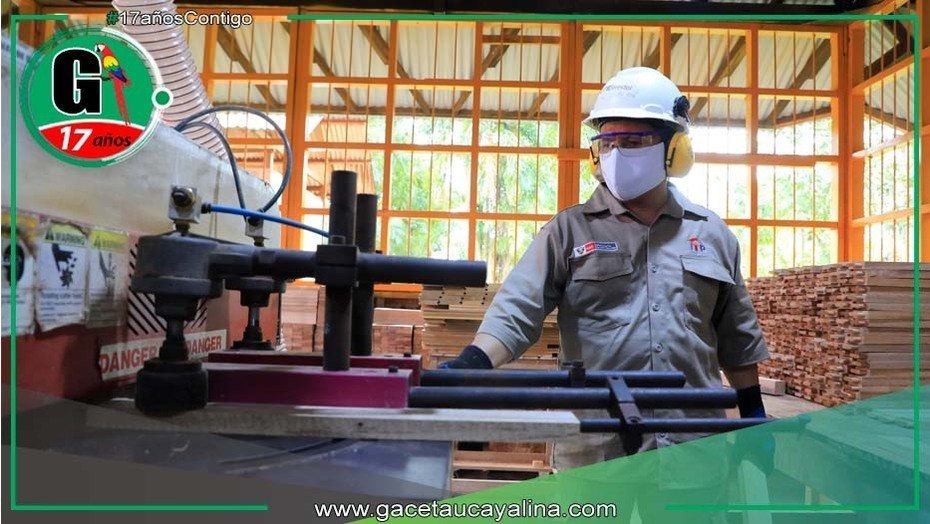 Mypes del Perú podrán proveer muebles fabricados con madera a entidades públicas