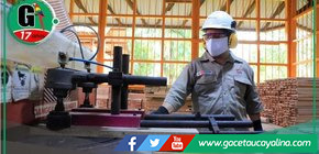 Mypes del Perú podrán proveer muebles fabricados con madera a entidades públicas