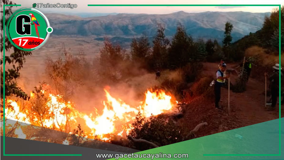 Familias afectadas por incendios en Ucayali recibirán ayuda.