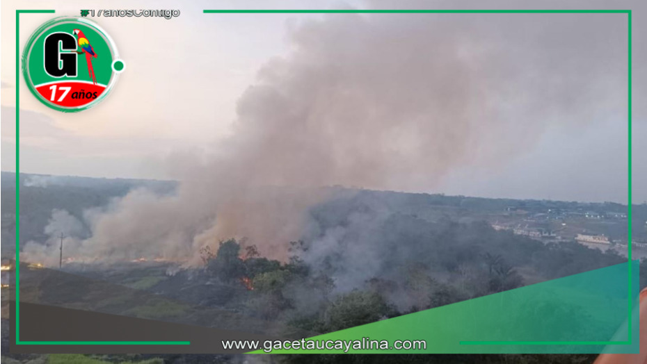 Una gran cantidad de bosques en la cuenca del río Nanay se encuentra afectada por incendio forestal en Loreto