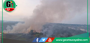 Una gran cantidad de bosques en la cuenca del río Nanay se encuentra afectada por incendio forestal en Loreto 