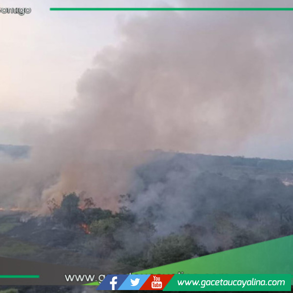 Una gran cantidad de bosques en la cuenca del río Nanay se encuentra afectada por incendio forestal en Loreto 