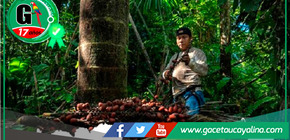 Allpahuayo Mishana celebra inclusión en el TOP 100 de Green Destinations