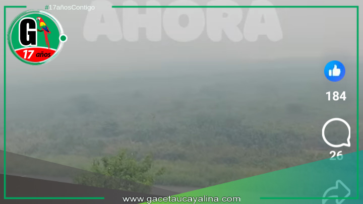 Inmensa nube de humo cubre la ciudad, cancelando vuelos y afectando la salud de los residentes.