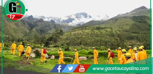 Ministro del Ambiente anuncia ley para prevenir incendios forestales