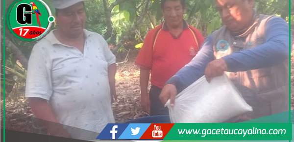 Proyecto Cacao impulsa técnicas sostenibles en Campo Verde