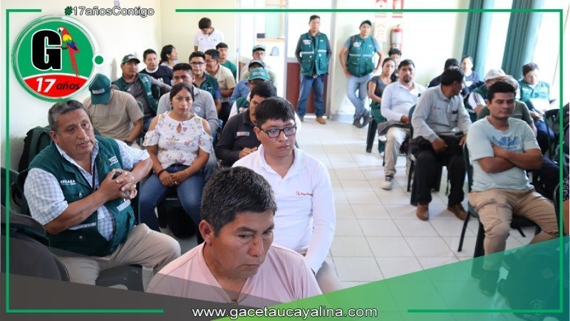 SENASA despliega cerco sanitario contra bacteria que amenaza café y cítricos en Selva Central
