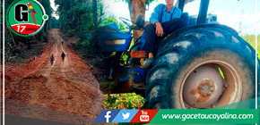 Menonitas en problemas por deforestar la Amazonía,Fiscalía pide más de 8 años de prisión preventiva.