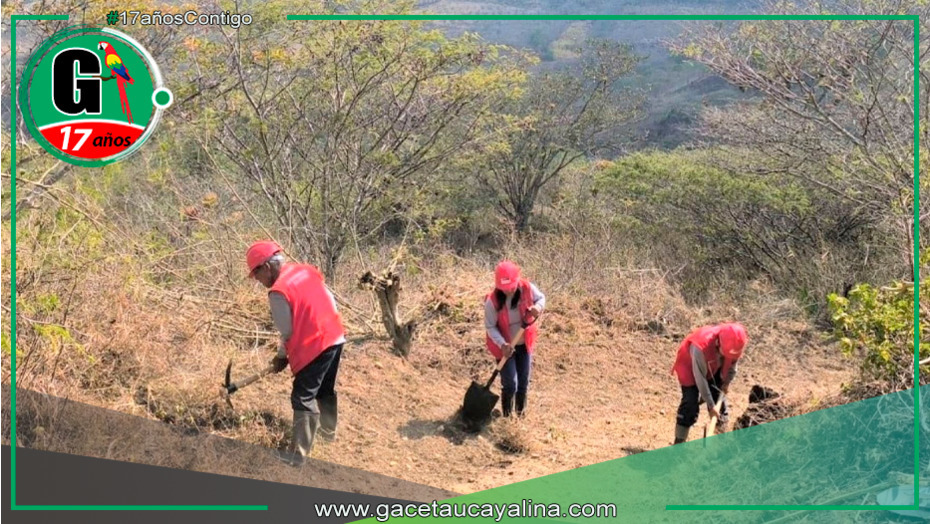 51 centros poblados se beneficiarán con obras de mejoramiento de caminos rurales
