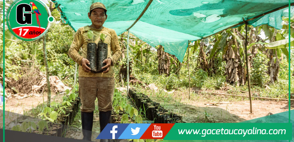 Comunidades nativas de Ucayali podrán acceder a S/ 365 mil para negocios sostenibles