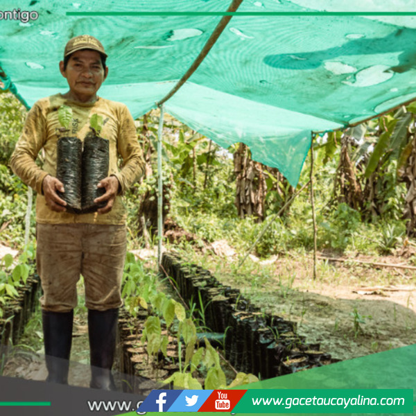 Comunidades nativas de Ucayali podrán acceder a S/ 365 mil para negocios sostenibles