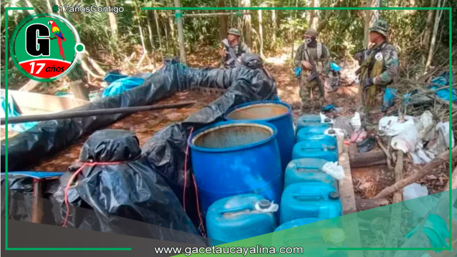 Desmantelan 4 laboratorios clandestinos e incautan 15 toneladas de coca