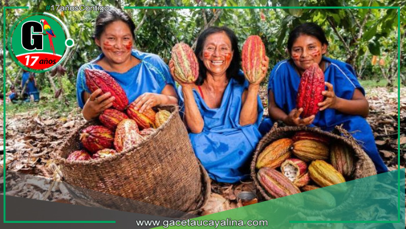 Perú lanza proyecto millonario para proteger bosques y potenciar agroexportación
