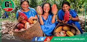 Perú lanza proyecto millonario para proteger bosques y potenciar agroexportación