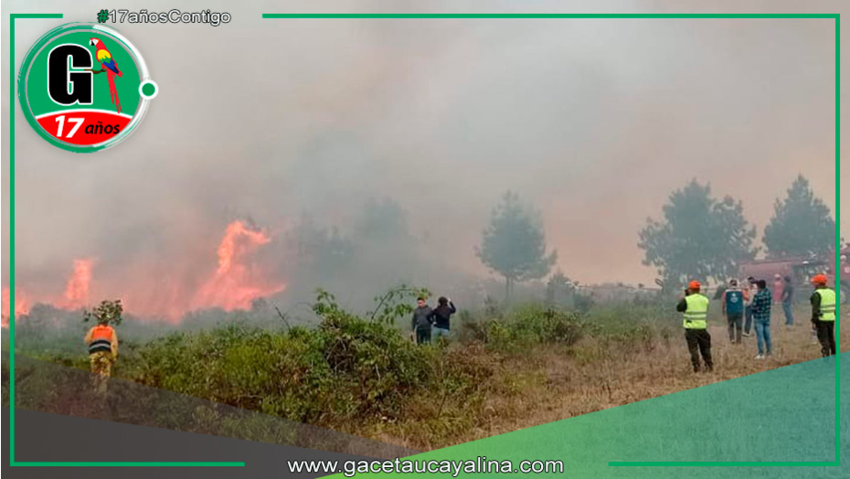 Extinguen y controlan incendios forestales en Bongará