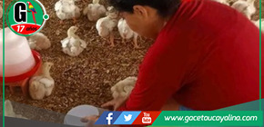 Mejoramiento de Servicios Agropecuarios en Campo Verde, un Modelo de Éxito.