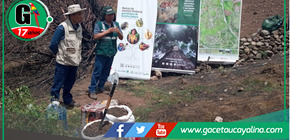 Inician restauración forestal en histórico Parque Arqueológico de Sacsayhuamán