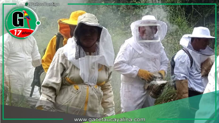 Apicultores de diversas regiones se capacitan en prácticas sostenibles