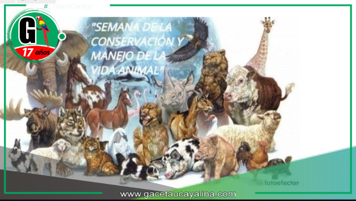 Municipalidad de Nueva Requena Impulsa Conservación Animal.